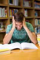 Student sitting in library reading