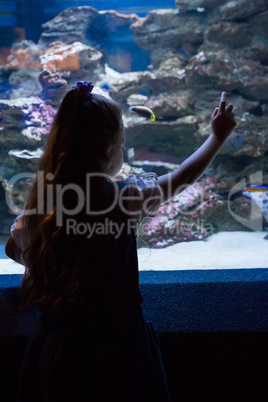 Little girl looking at fish tank