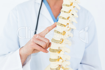 Female doctor with anatomical spine