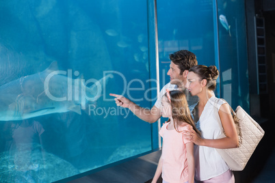 Happy family looking at fish tank