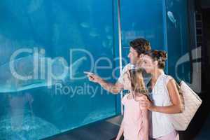 Happy family looking at fish tank