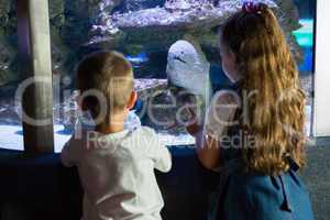 Little siblings looking at fish tank