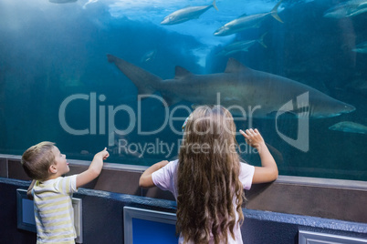 Little siblings looking at fish tank