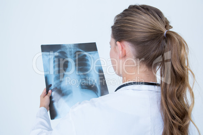 Focus doctor looking at X-Rays