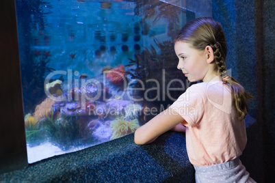 Cute girl looking at fish tank