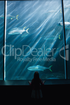 Little girl looking up at fish in tank