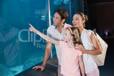 Happy family looking at shark