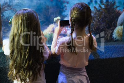 Cute girls looking at fish tank