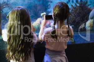 Cute girls looking at fish tank