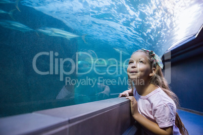 Little girl looking at fish tank