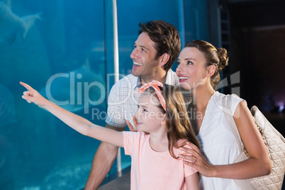 Happy family looking at fish tank