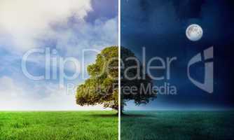 Night and day scene with tree