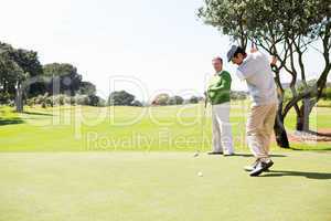 Golfing friends teeing off