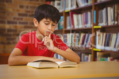 Cute boy reading book in library