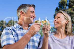 Couple relaxing in the park with wine