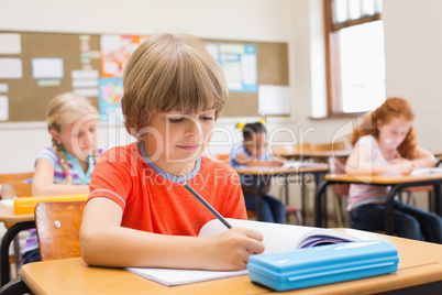 Cute pupils writing at desk in classroom