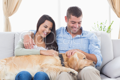 Couple stroking Golden Retriever on sofa