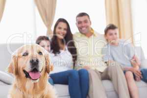 Family of looking at Golden Retriever