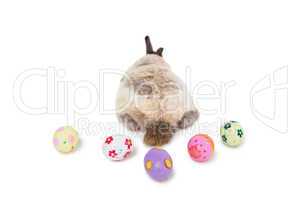 Bunny with Easter eggs on white background