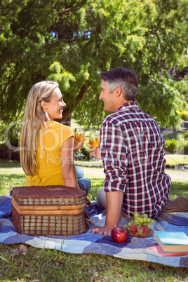 Couple having picnic in the park