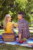 Couple having picnic in the park