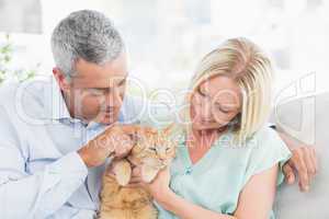 Couple playing with cat in living room