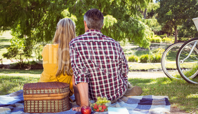 Couple having picnic in the park