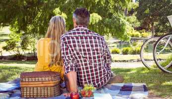 Couple having picnic in the park