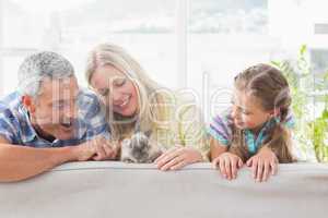 Family playing with rabbit on sofa at home