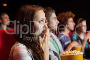 Young friends watching a film