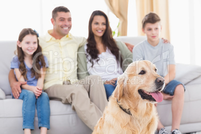 Family and dog watching TV together