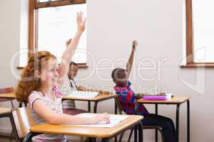 Pupils raising their hands during class