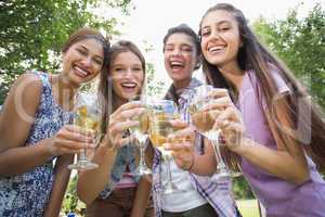 Happy friends in the park having wine