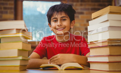 Portrait of boy reading book at desk