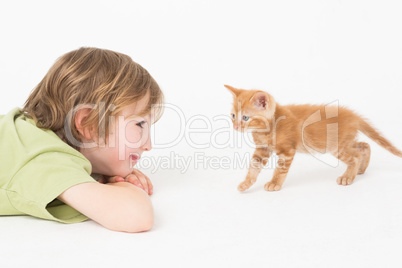Boy watching kitten walking on white background