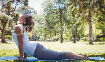 Fit woman doing yoga in the park