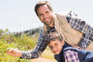 Father and son hiking in the mountains