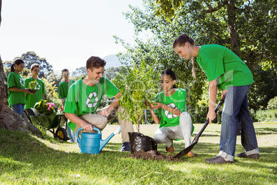 Environmental activists planting a tree in the park