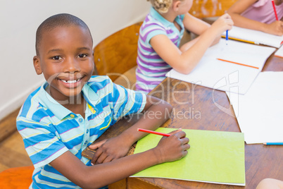 Cute pupil smiling at camera in classroom