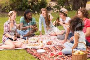 Happy friends in the park having picnic