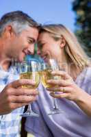 Couple relaxing in the park with wine