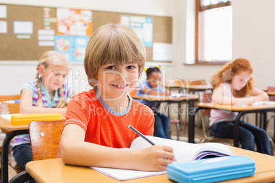 Cute pupils writing at desk in classroom