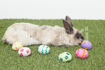 Rabbit with easter eggs on grass