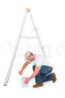 handyman with paint roller and ladder