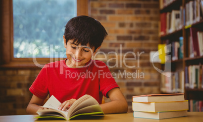 Portrait of cute boy reading book in library
