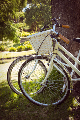 Bicycles leaning against tree in park