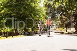 Happy couple on a bike ride