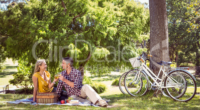 Couple having a picnic in the park