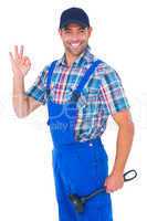 Portrait of happy plumber with plunger gesturing okay