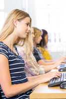 Students in row at computer class